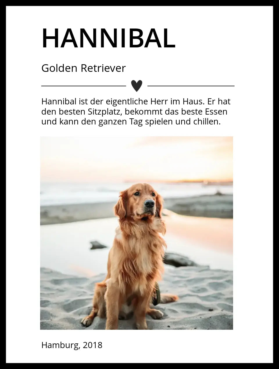 Poster "Hund"