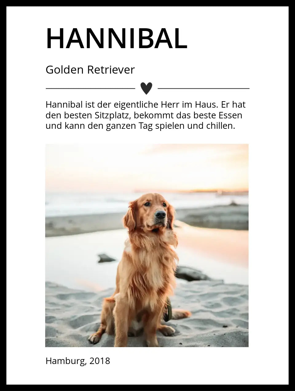 Poster "Hund"