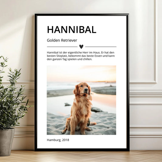 Mockup Poster Wand Pflanze